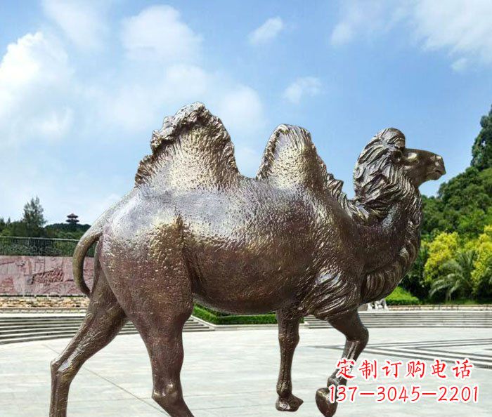 桂林欣赏骆驼美感,购买骆驼铜雕