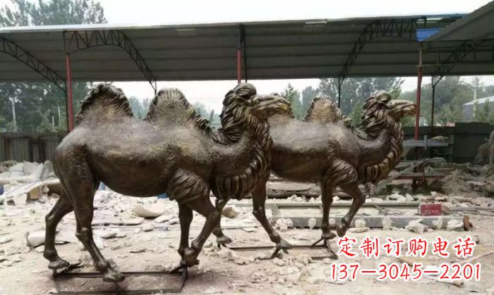 桂林典雅优美的骆驼铜雕