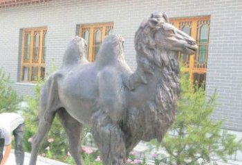 桂林精美的骆驼铜雕，提升您的公园气质