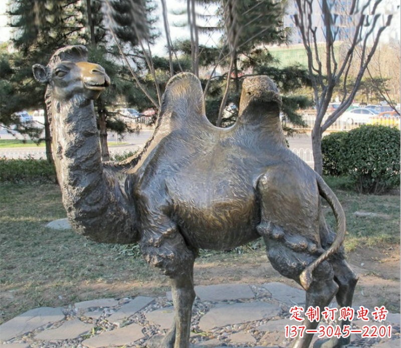 桂林骆驼铜雕塑